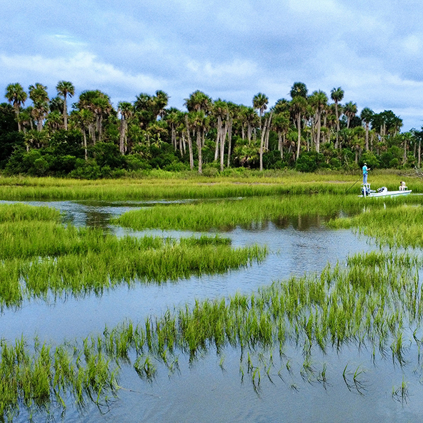 A serene wetland landscape featuring tall grasses and a calm waterway, with a person fishing from a small boat in the foreground and palm trees lining the background under a cloudy sky.